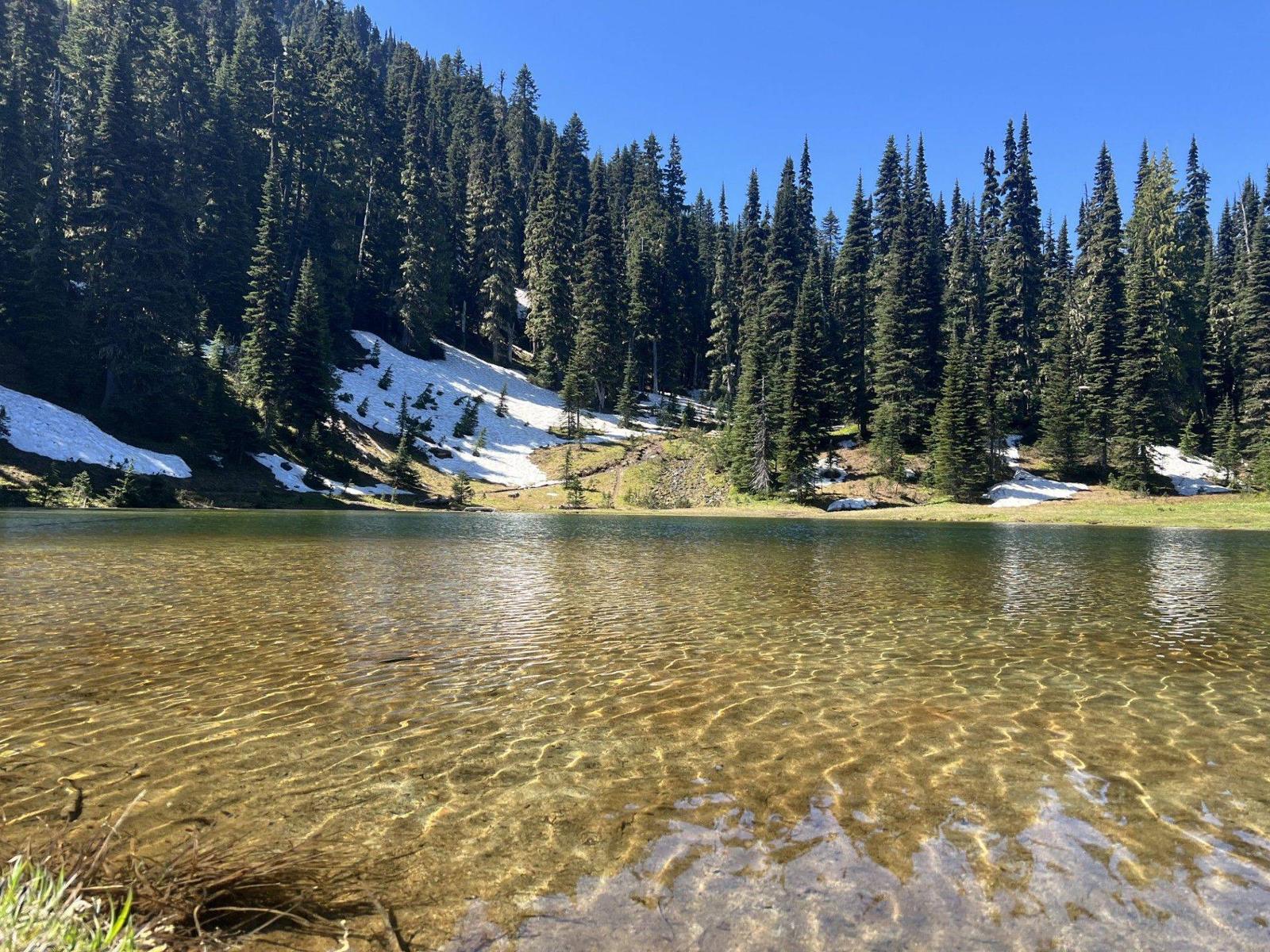 Summer near Mount Rainier